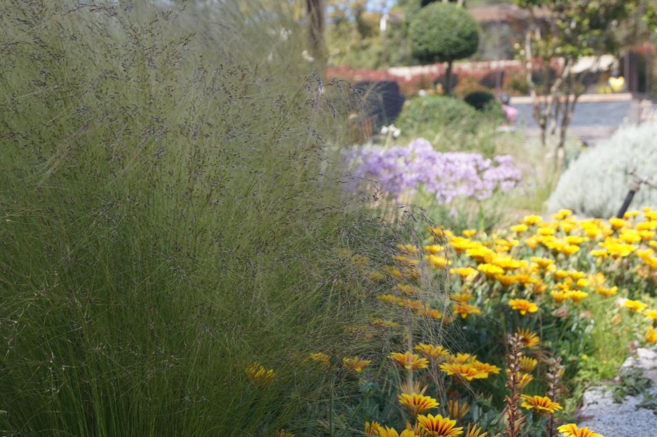 Les Jardins De Santa Giulia - Charmante Chambre D'Hote Porto-Vecchio  Eksteriør bilde