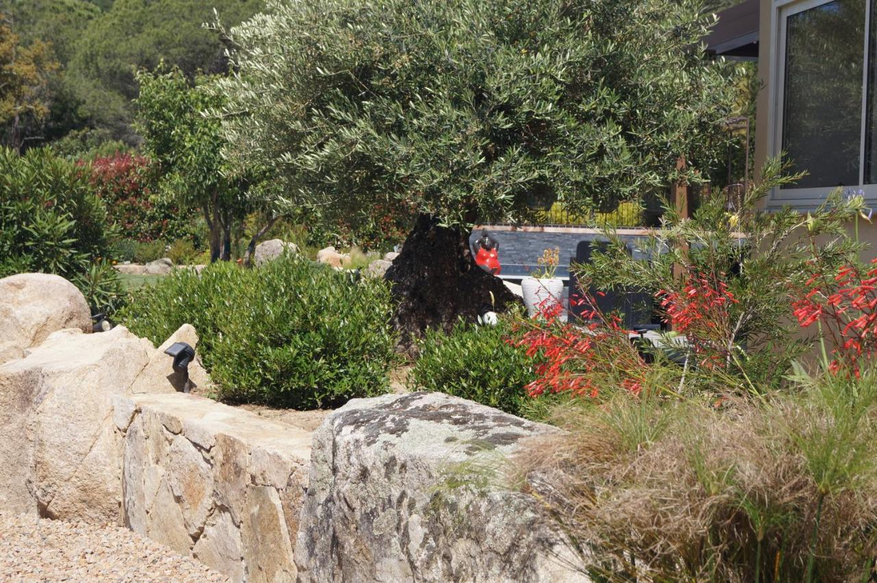 Les Jardins De Santa Giulia - Charmante Chambre D'Hote Porto-Vecchio  Eksteriør bilde